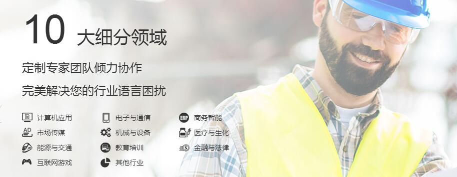 十大细分领域