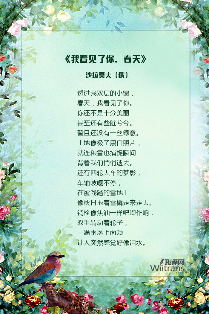 我看见了你春天沙拉魔法